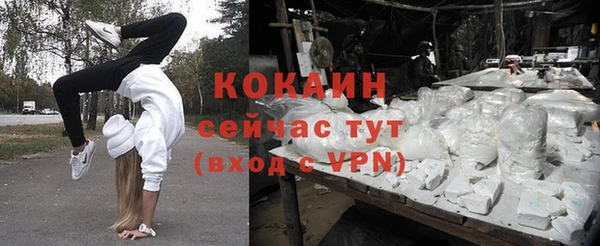 ГАЛЛЮЦИНОГЕННЫЕ ГРИБЫ Абаза