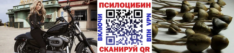 наркошоп  Исилькуль  Галлюциногенные грибы прущие грибы 